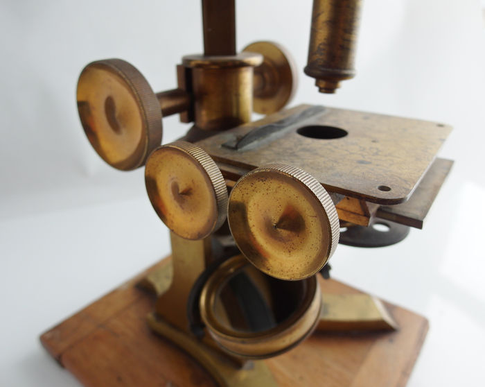 Antique monocular microscope - Carla's Curiosities